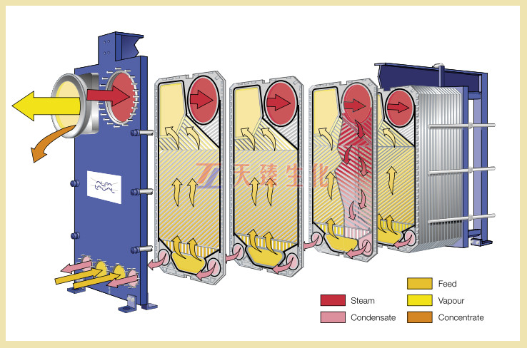 板式蒸发示意图.png